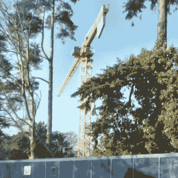 Massive crane over Woodbank site